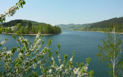 Diemelsee