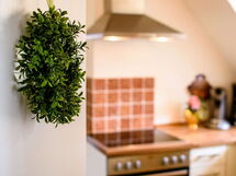 Gemütliche Wohnung in Bracht mit Garten