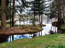 Fichtelzauber mit Sauna