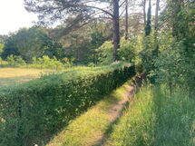Bungalow Mecklenburgische Seenplatte