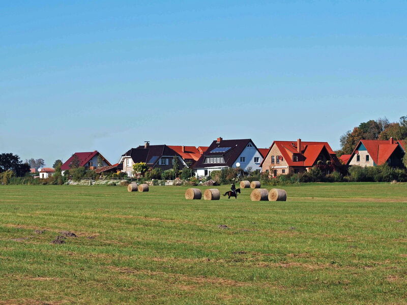 Müritz Ferienhaus