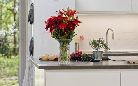 Aiko - 1.8Km from the Sea: Keuken, Countertop, Interieur Ontwerp, Bloempot, Meubilair, Kamerplant, Cabinetry, Toestel Van De Keuken, Flooring, Huis