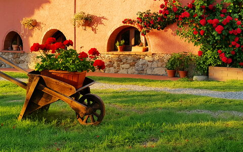 Appartamento Girasole Seaside and Pool: Tuin, Landscaping, Werf, Bloempot, Backyard, Hacienda, Kamerplant