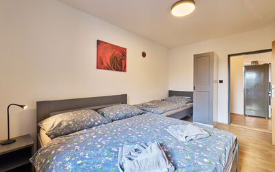 Accommodatie:&nbsp;Růžová 5 101.5
