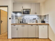 Accommodatie:&nbsp;Růžová 4 101.4