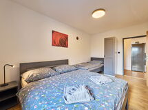 Accommodatie:&nbsp;Růžová 5 101.5