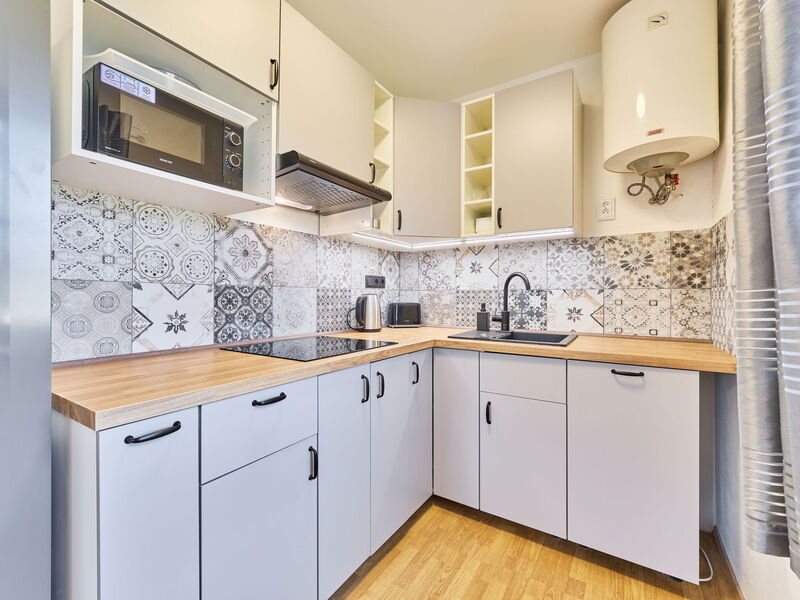 Accommodatie:&nbsp;Růžová 5 101.5