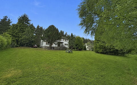 Greenaway: Boom, Landschap, Land Lot, Gazon, Tuin, Lariks, Weide, Pasture, Landscaping, Landgoed