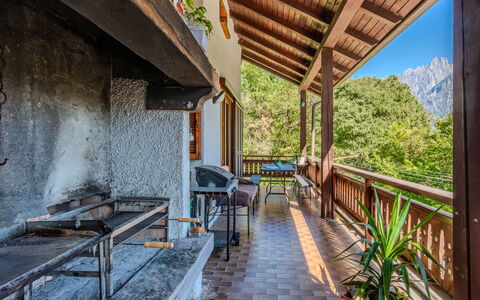 Erika: Hout, Berg, Bergketen, Heuvel, Veranda, Heuvel Station, Vallei, Ridge, Hardwood, Alpen