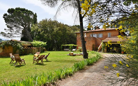 Casale Il Rondò, Private Pool, Città della Pieve: Struik, Huis, Huis, Verblijf, Tuin, Landgoed, Backyard, Gazon, Boerderij