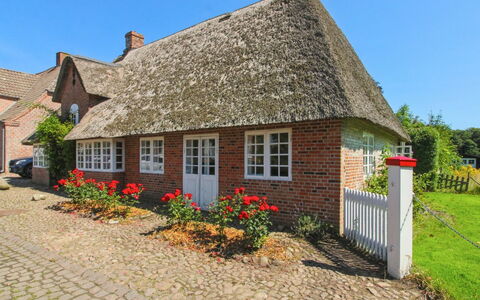 Bedine - 10Km from the Sea: Berg, Sneeuw, Bergachtig Landvormen, Winter, Bergketen, Glacial Landform, Hoogland, Heuvel, Heuvel Station, Terrein
