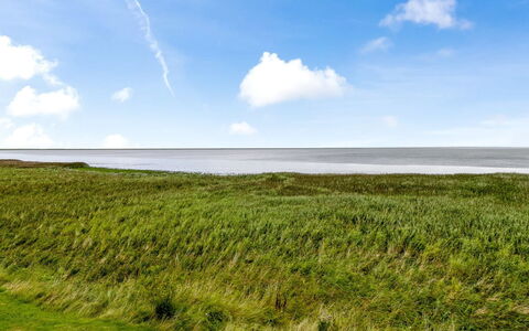 Auwe - 3.5Km from the Sea: Meubilair, Hout, Interieur Ontwerp, Flooring, Verdieping, Stoel, Kamer, Plafond, Woonkamer, Appartement