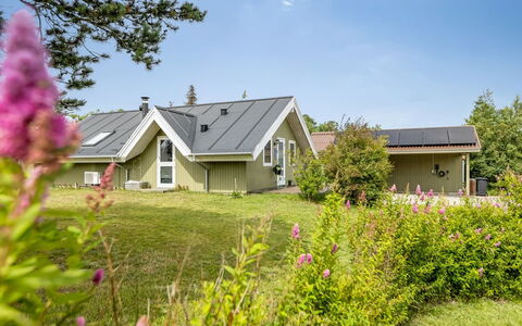 Emiljan - from the Sea: Gras, Grasland, Landschap, Ecoregio, Plain, Plantengemeenschap, Land Lot, Buitenmeubels, Prairie, Shrubland
