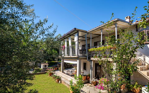 Mrak: Woongebied, Huis, Deur, Balkon, Veranda, Schaduw, Bloempot, Landgoed, Werf, Kamerplant
