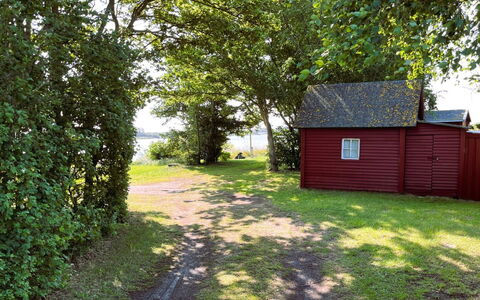 Rajna - 30M from the Sea: Gras, Natuur, Landschap, Struik, Land Lot, Bank, Landelijk Gebied, Verblijf, Kust En Oceanic Landvormen