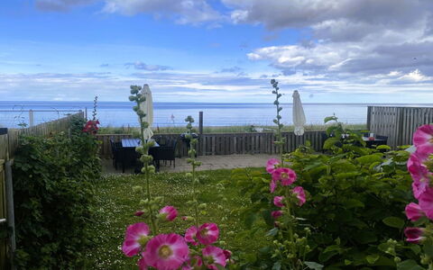 Nedelko - 20M from the Sea: Bloem, Petal, Bloeiende Plant, Oceaan, Zee, Tuin, Kruidachtige Plant, Rose Family, Wildflower