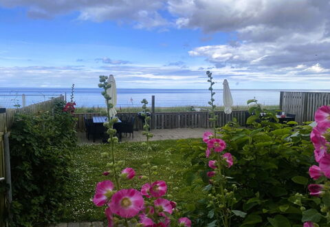 Nedelko - 20M from the Sea: Bloem, Petal, Bloeiende Plant, Oceaan, Zee, Tuin, Kruidachtige Plant, Rose Family, Wildflower