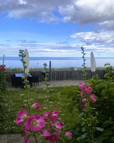 Nedelko - 20M from the Sea
