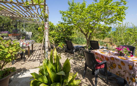 La Torre sul Ponte, Seaview, Garden: Groen, Struik, Meubilair, Tuin, Tafel, Buitenmeubels, Stoel, Buitentafel, De Lente