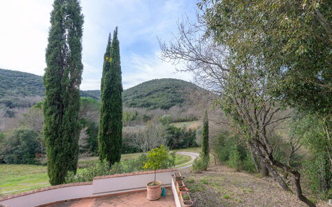La Valle: Blad, Struik, Tuin, Landscaping, Evergreen, Pine Family, Lariks