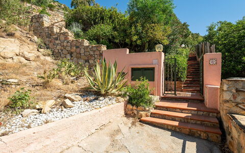 Pellicano: Struik,  Felsen\, Plantengemeenschap, Tuin, Landscaping, Bloempot, Flagstone, Trap, Stenen Muur