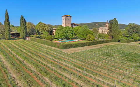 Medieval Castle Living: Vineyards, Swimming Pool &: Plantage, Landbouw, Tuin, Wijngaard, Haag, Boerderij