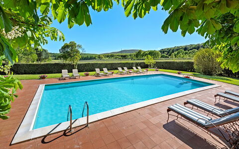 Medieval Castle Living: Vineyards, Swimming Pool &: Zwembad, Toevlucht, Eco Hotel, Tuin, Hacienda, Schaduw, Villa, Boerderij, Waterpartij, Landscaping