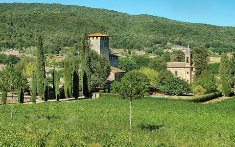 Medieval Castle Living: Vineyards, Swimming Pool &: Vegetation, Struik, Land Lot, Plantengemeenschap, Landelijk Gebied, Plantage, Heuvel Station, Tuin, Dorp, Landgoed