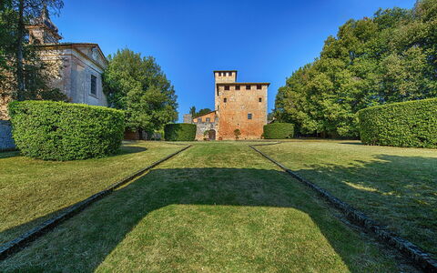 Medieval Castle Living: Vineyards, Swimming Pool &: Struik, Tuin, Landgoed, Gazon, Haag, Landscaping, Kasteel, Park, Evergreen, Herenhuis