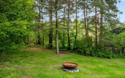 Simjanka - 800M from the Sea