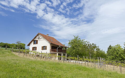 Pax: Gras, Huis, Landelijk Gebied, Verblijf, Dak, Huis, Landschap, Plain, Land Lot