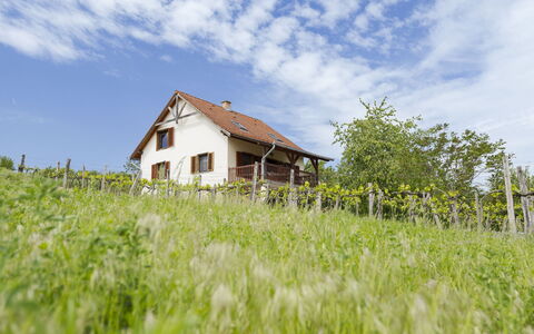 Pax: Gras, Huis, Landelijk Gebied, Verblijf, Dak, Huis, Landschap, Plain, Land Lot