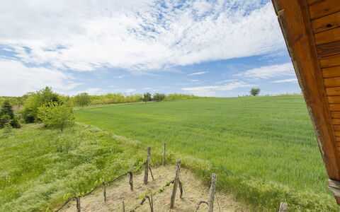 Pax: Gras, Huis, Landelijk Gebied, Verblijf, Dak, Huis, Landschap, Plain, Land Lot