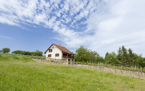 Pax: Gras, Huis, Landelijk Gebied, Verblijf, Dak, Huis, Landschap, Plain, Land Lot
