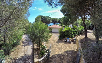 Capoliveri 860: Boom, Blad, Struik, Tuin, Landscaping, Schaduw, Landgoed, Oprit, Backyard