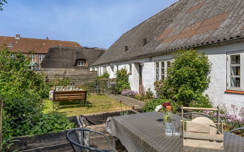 Spase - 23Km from the Sea: Struik, Huis, Woongebied, Huis, Tuin, Schaduw, Werf, Binnenplaats, Bloempot