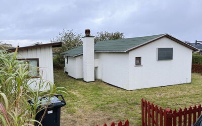 Ginger - 50M from the Sea