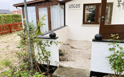 Ginger - 50M from the Sea