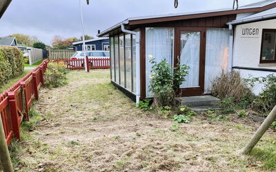 Ginger - 50M from the Sea