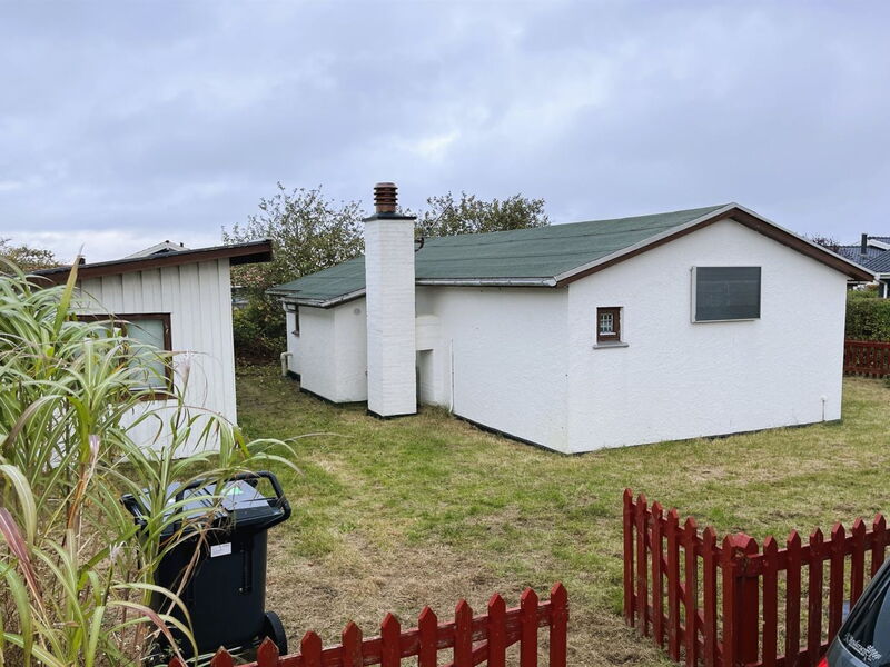 Ginger - 50M from the Sea