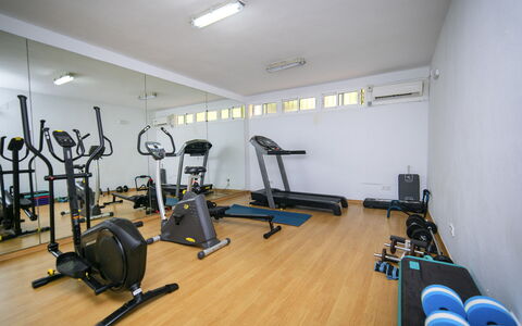 Altea Natura: Flooring, Verdieping, Kamer, Plafond, Interieur Ontwerp, Verlichting, Oefen Materiaal, Oefeningsmachine, Meubilair, Sportschool