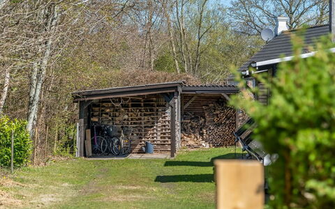 Diertje - from the Sea: Thatching, Verblijf, Huis, Dak, Huis, Boerderij, Hut, Landgoed, Dorp
