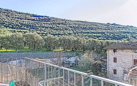 Tra Gli Ulivi: Hek, Home Schermen, Balkon
