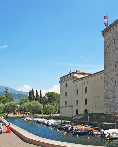 Tra Gli Ulivi