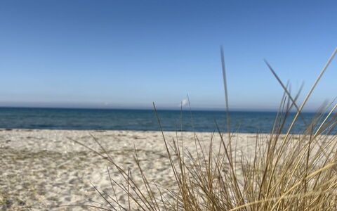 Holmfridur - 1.1Km from the Sea: Blauw, Horizon, Strand, Kust, Zee, Ecoregio, Kust En Oceanic Landvormen, Kust, Zand