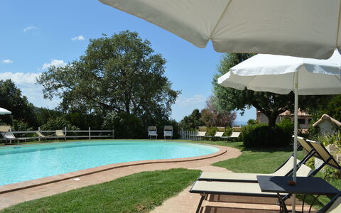 Agriturismo Bellavista, Private Pool, Val D'Orcia: Zwembad, Buitenmeubels, Meubilair, Toevlucht, Schaduw, Tuin, Eco Hotel, Ligstoel, Buitentafel, Landscaping