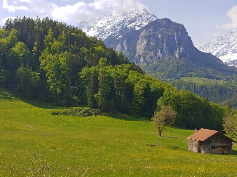 Wohnung mit 3 Schlafzimmern “Wylerdümen”