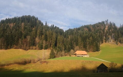 Karotte