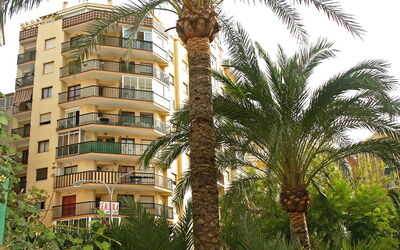 Calpe Calp 390: Fabriek, Gebouw, Eigendom, Venster, Lucht, Boom, Plantendiversiteit, Arecales, Vegetation, Huis