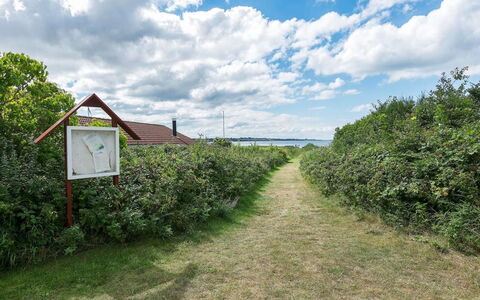 Filisha - 200M from the Sea: Struik, Landelijk Gebied, Groundcover, Plantage, Tuin, Veld, Haag, Boerderij, Landbouw, Trail